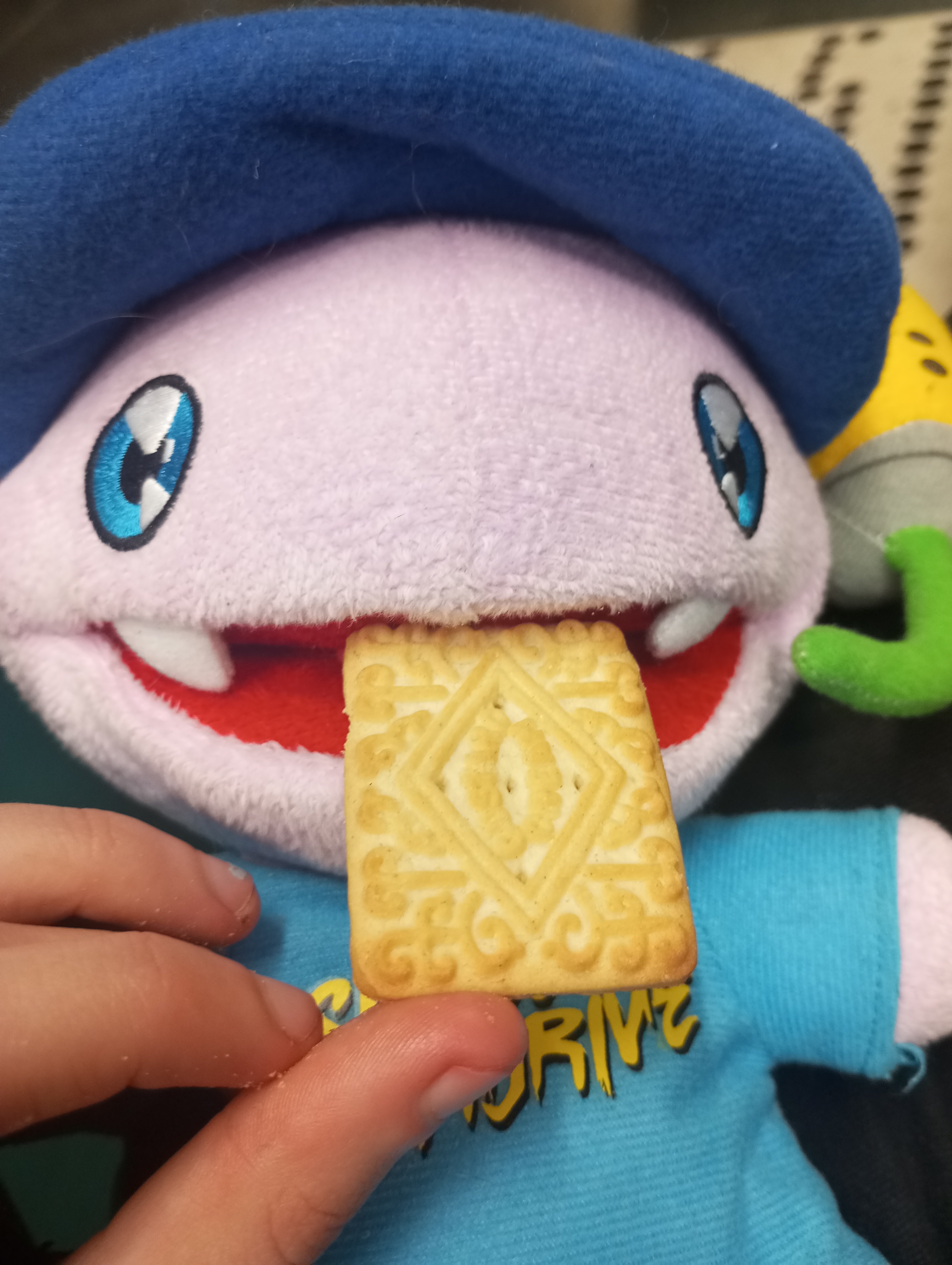 Fizzie With A Biscuit